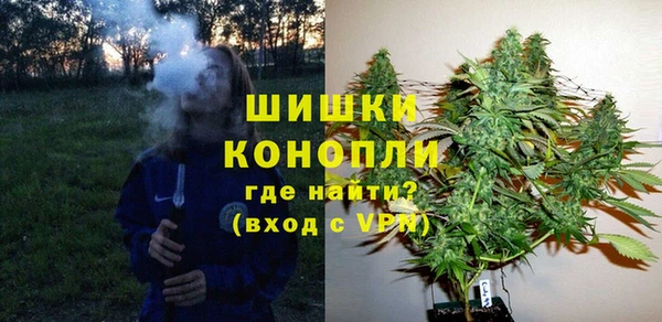 гашик Аркадак