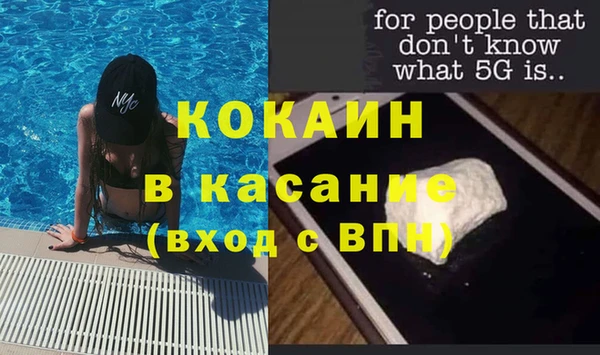 трава Няндома