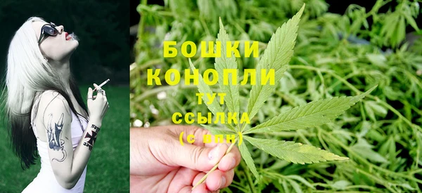 гашик Аркадак