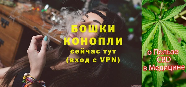 гашик Аркадак