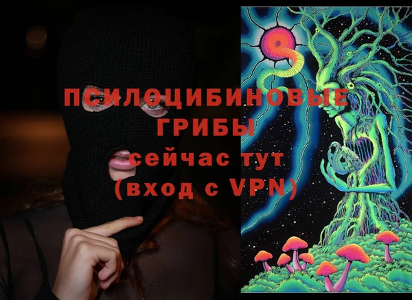 гашик Аркадак