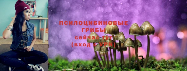 круглые Армянск