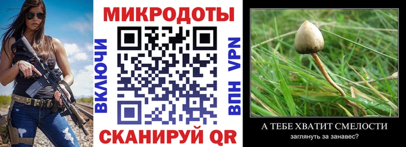 kraken онион  Родники  Псилоцибиновые грибы ЛСД  где купить наркотик 
